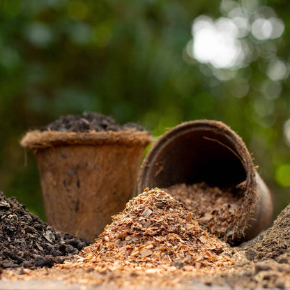 Hand-Blended Organic Plant Food