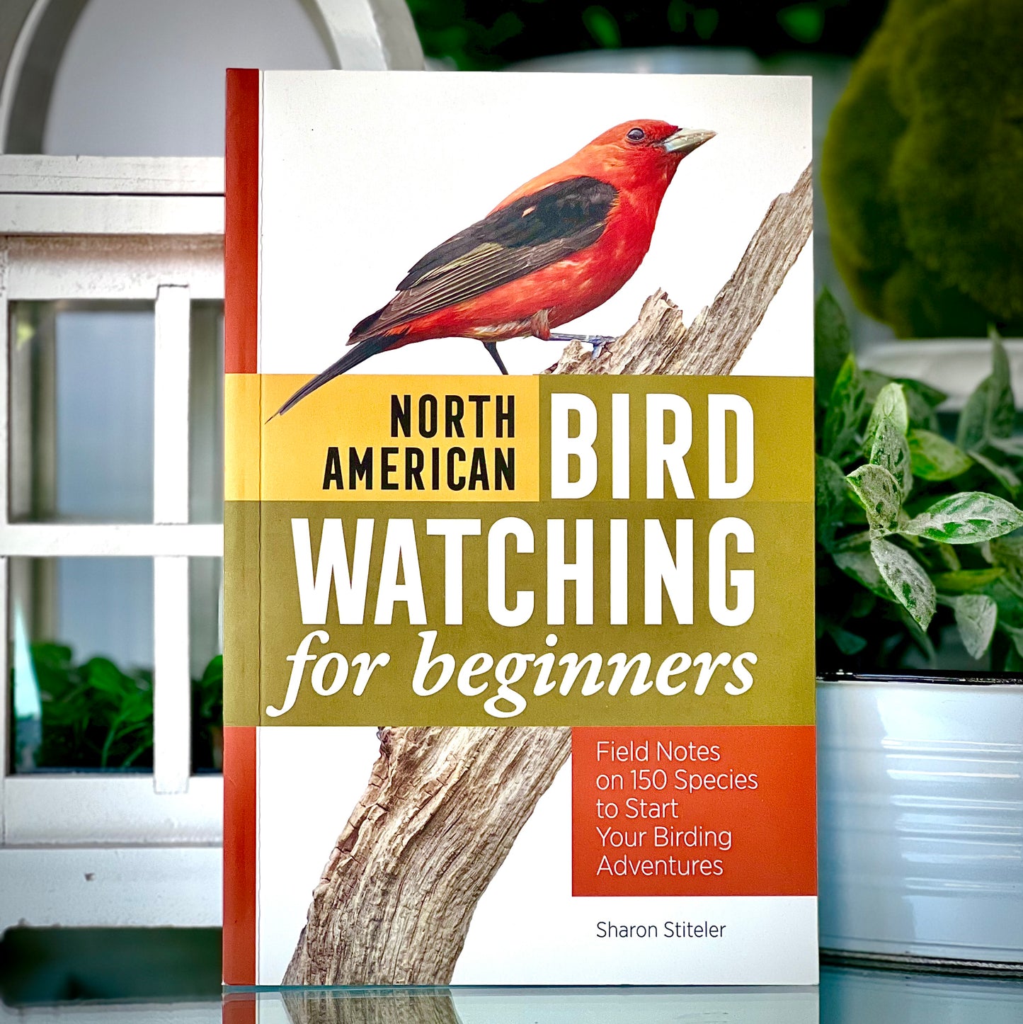 North American Bird Watching for Beginners Book